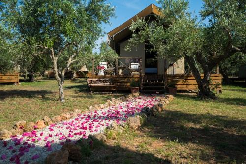 Marathopoli Apartment | Agrikies Country Retreat