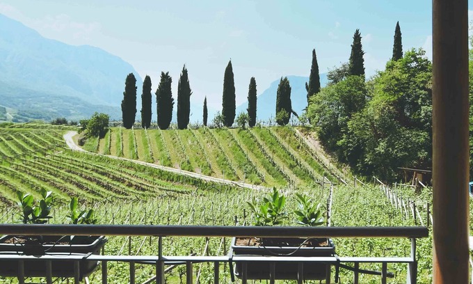 Ravina Other | Agritur Casteller