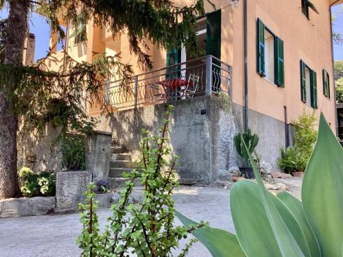 Bordighera Apartment | Agriturismo Il Meroglio