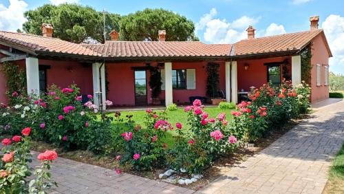 Vitellino Apartment | Agriturismo Il Sogno