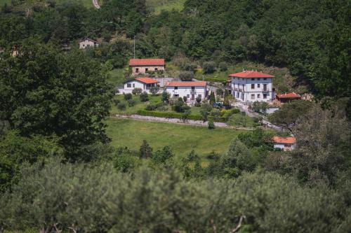 Rivello Apartment | Agriturismo La Valle degli Ulivi