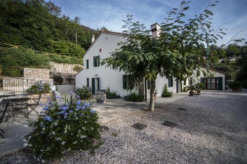 Cinto Euganeo House | Agriturismo Le Volpi