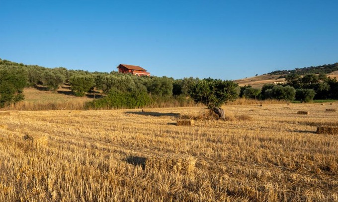 Tarsia House | Agriturismo Rende