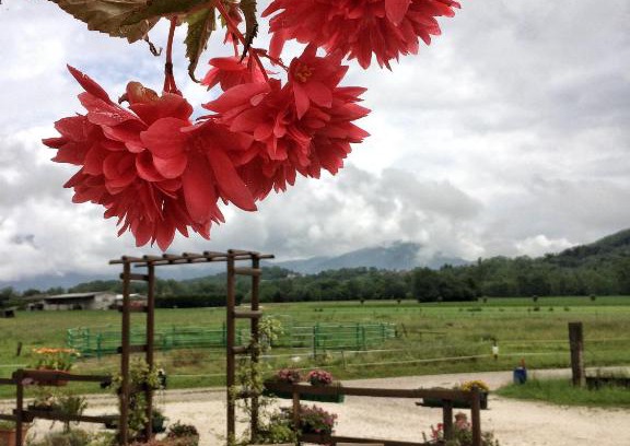 Buia House | Agriturismo San Floreano