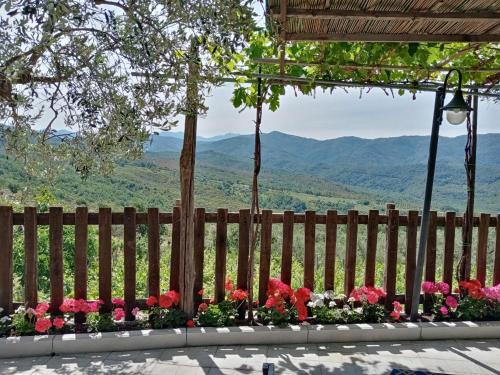 Monteforte Cilento House | Agriturismo Tre Morene