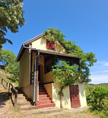 Velika Pisanica House | Agroturizam Na Malenom brijegu BAKINA VIKENDICA