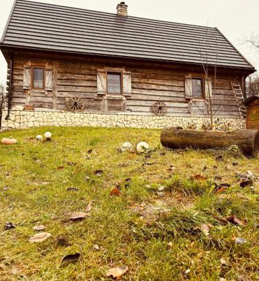 gmina Tereszpol House | Agroturystyka LipoweWzgórze domek Danusia