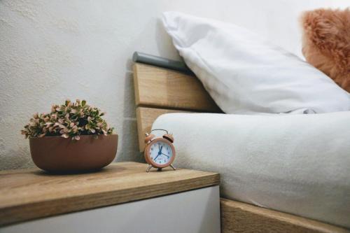 Kosice Old Town Apartment | AH Alžbetina