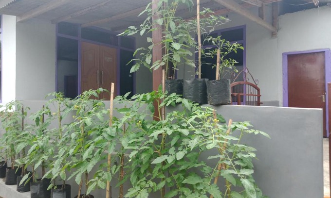 Kecamatan Pringgasela House | Ahim Homestay