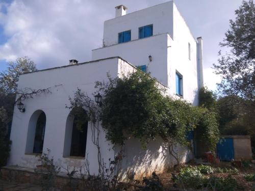 Scala House | Aiolos