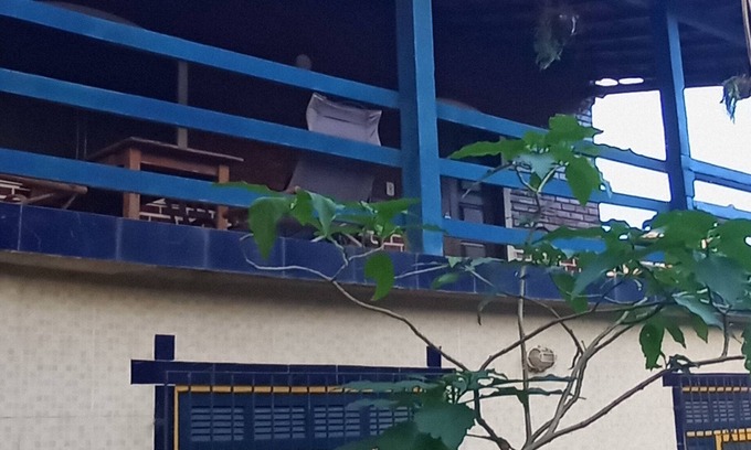 Portinho House | Airy house surrounded by greenery and fruit trees.