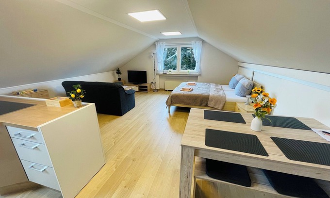 Sinzenich Apartment | Air-conditioned Holiday Apartment near the Lake