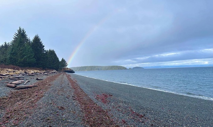 Port Hardy Hotel | Airport Inn