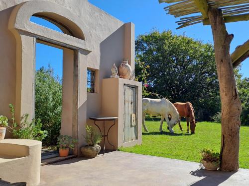 Heidelberg Villa | Akasha Mountain Retreat, new location