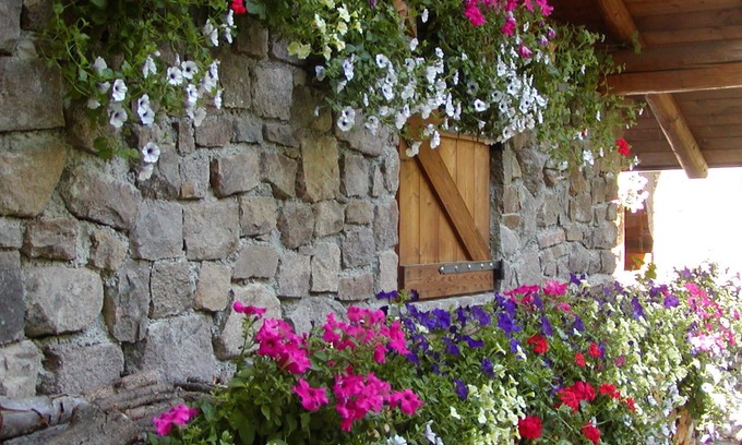 Grauno Ski Chalet | Al Folastro: chalet nestled in a fairytale forest