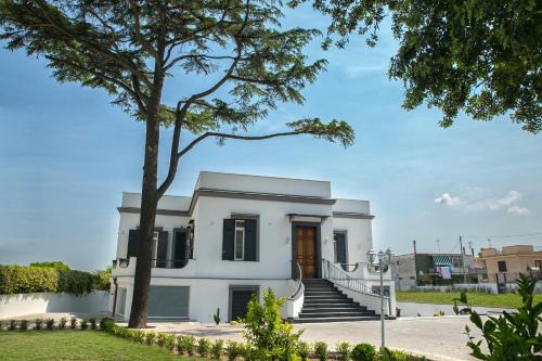 Cercola House | Al Tartarughino B&B