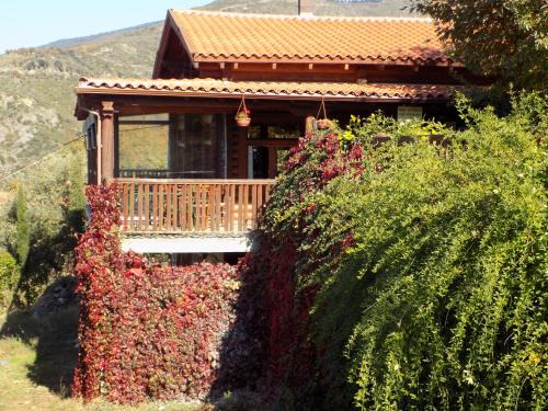 Alagonia Ski Chalet | Alagonia Country Homes
