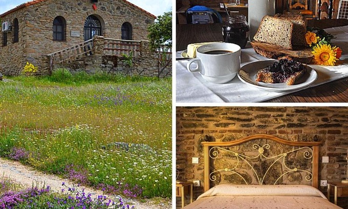 Plasenzuela House | Albergue La Jarilla