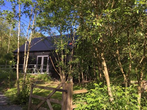 Kilkenny Cabin | Alder Cabin
