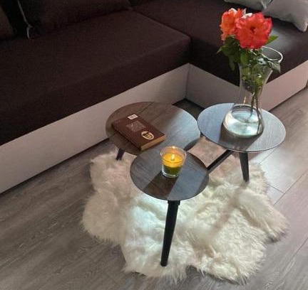 Vaslui Apartment | Alexa Star