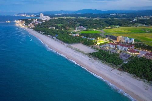 Gangneung Villa | Algoboni Hotel