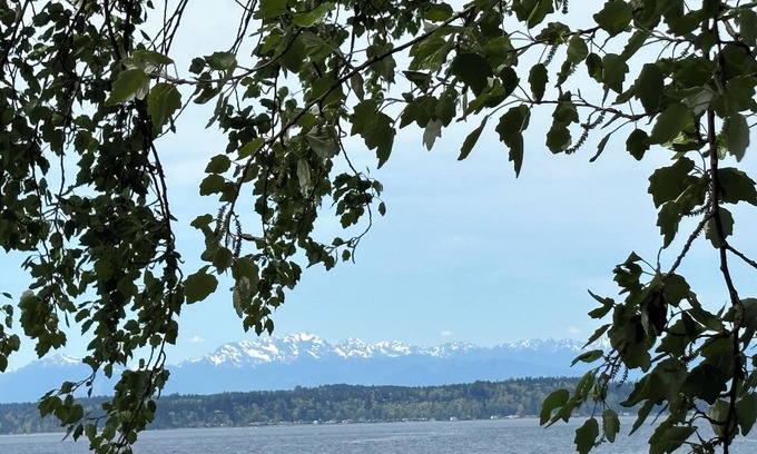 West Seattle Cottage | Alki Beach modern and cozy 3 bdrm home near dining, Lumen and T-Mobile park.