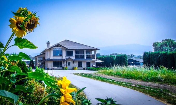 South Pandosy Bed & Breakfast | All Seasons Bed & Breakfast