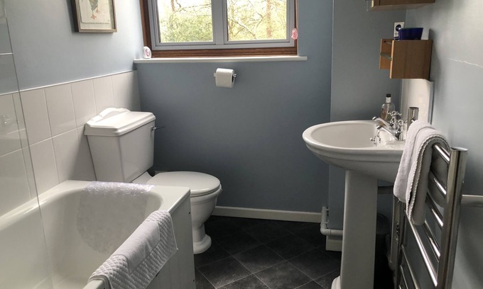 Wareham Bed & Breakfast | All yours Bright & airy cosy 1 bedroom apartment situated in its own woodland
