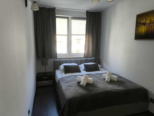 Starachowice Apartment | Alma Apartments Starachowice