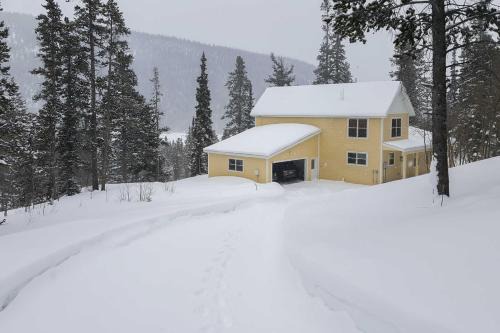 Alma House | Alma Home about 20 Mi to Breckenridge Mtn Views!