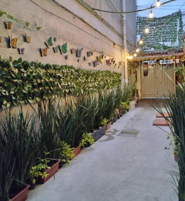 Venustiano Carranza House | Alo México