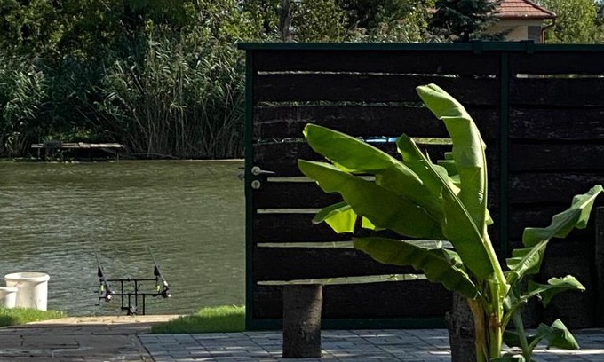 Bekesszentandras House | Aloha Hawaii Lak