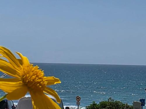 Atalaia Apartment | Alojamento da Praia da Areia Branca