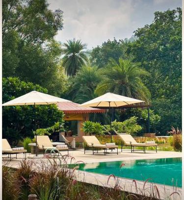 Ghanerao Cabin | Aloof Jungle Lodge