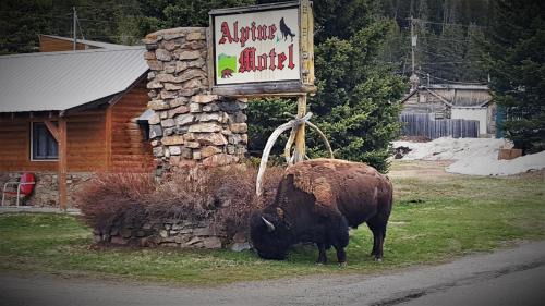 Cooke City-Silver Gate Hotel | Alpine Motel of Cooke City