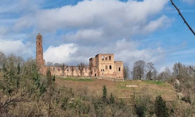 Bad Duerkheim Apartment | Also for pets - forests and castles in the middle of nature await you 🐕🌳🏰