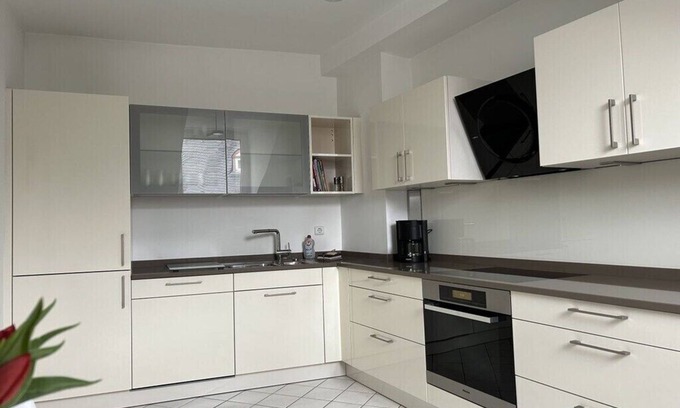Mainz-Bingen House | Alta Villa Eltville Comfortable holiday residence