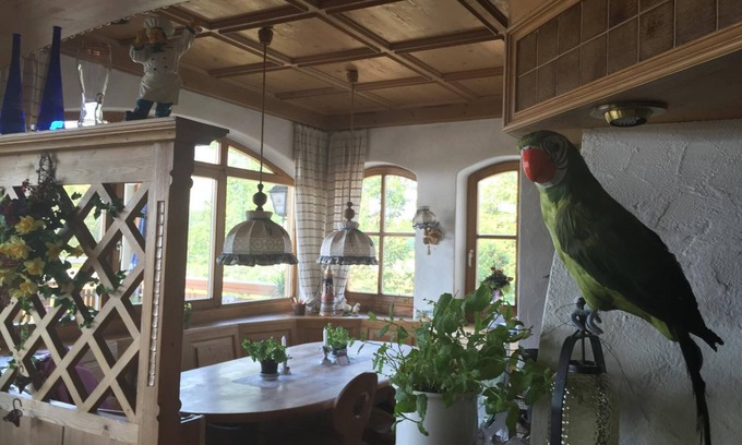 Ebelsbach Hotel | Alte Rose Gasthaus Hotel