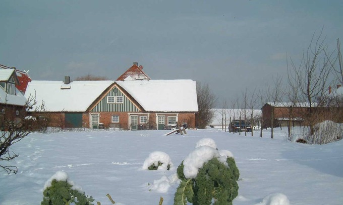 Jork Apartment | Alter Obsthof am Elbdeich - Holidays under the thatched roof - Thatched roof apartment 1