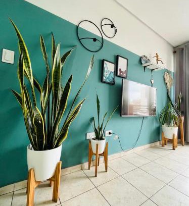 Province of Tucuman Apartment | Altos de Barrio Sur