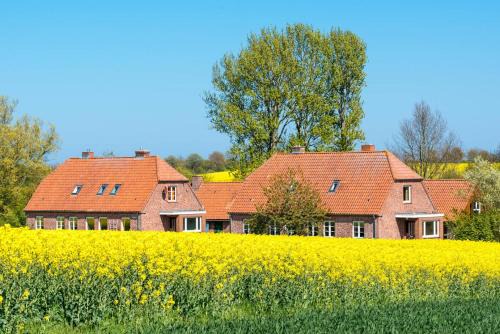 Neukirchen Apartment | Am Hut