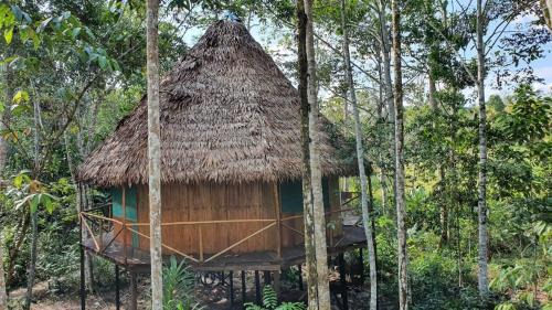 San Juan Bautista House | Amaca Eco Station