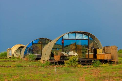 Amboseli House | Amanya 2-Rooms Lioness Family