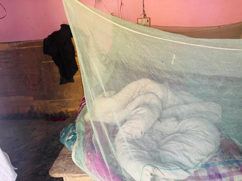 Maharajganj House | Amaranth Homestay