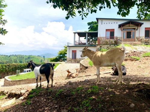 Kibuye House | Amazi Land Home and Farm Stay