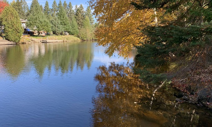 Baddow Cottage | Amazing Cottage for Rent