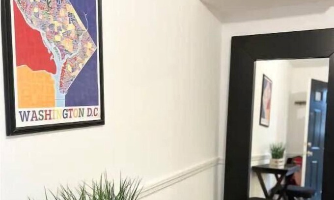 Southwest Federal Center House | Amazing English basement in Washington DC