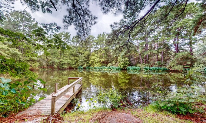 Bellville House | Amazing Home & Guest House on 14 Acres - Vineyards, Pond & Trails