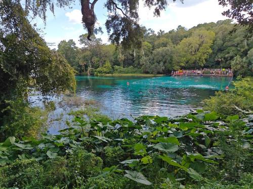 Citrus Springs House | Amazing NEW Home I Hot Tub I Rainbow Springs I Beach I HCA Hospital