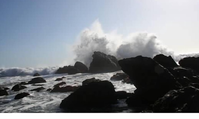Bodega Bay House | Amazing Ocean View, Walk To Beach, Cozy Carmet Cottage